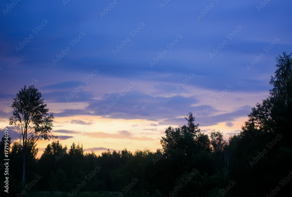Fototapeta premium Rural landscape. Bare trees on evening sky background.