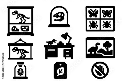 Museum Icons Collection. Solid style icons of Natural History Museum: display cabinet, glass dome, insect drawers, curator desk,