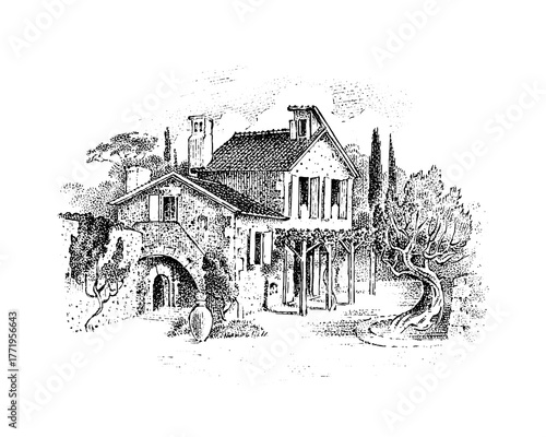 Italian villa with olive tree and cypresses and vineyards. Timber framing. Vector landscape. Ink sketch of the street. Hand drawn vintage illustration for book, emblem or print. 