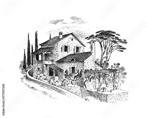 Italian villa with pine and cypress trees and vineyards. Timber framing. Vector landscape. Ink sketch of the street. Hand drawn vintage illustration for book, emblem or print. 