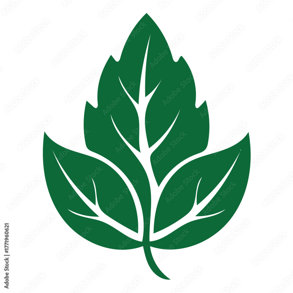 Naklejka premium green leaves vector