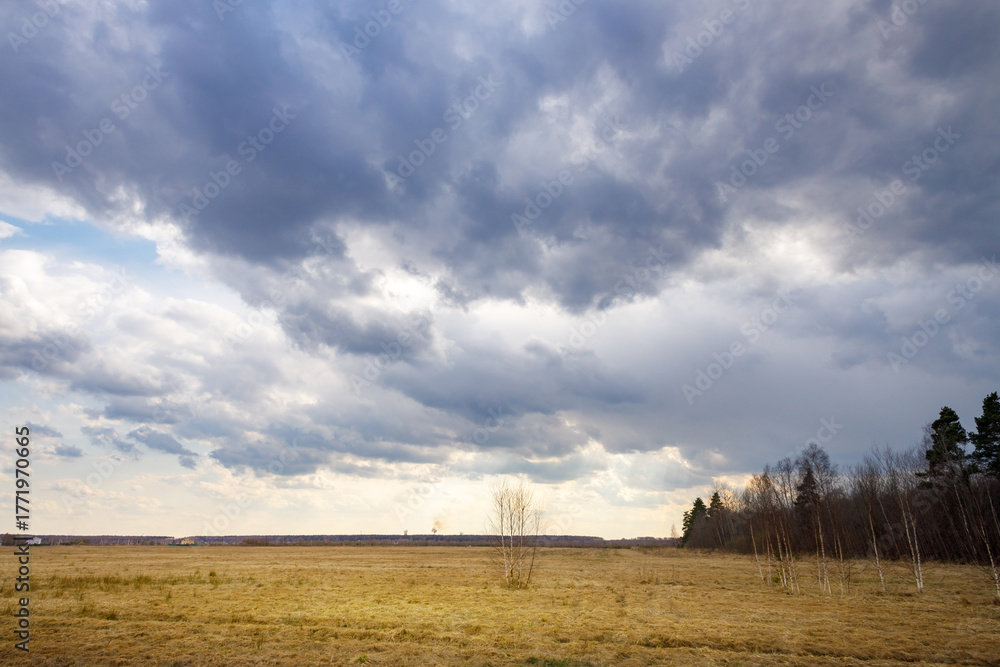 Fototapeta premium Cloudy sky with a tree in the middle of a field