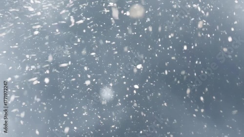 View of snowflakes falling in a very windy storm