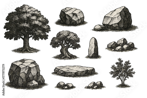 Detailed vintage botanical illustration showcasing trees and stones for nature designs and outdoor concepts, originally vector graphics