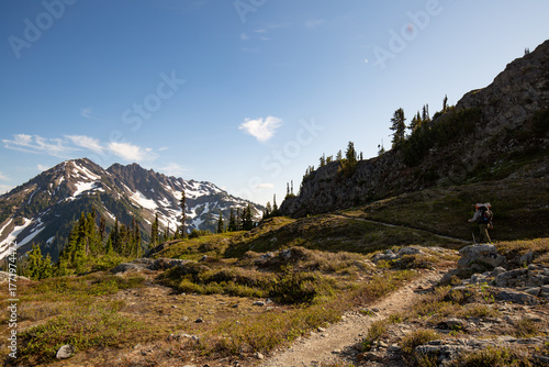 Backpacking along a trail in Olympic National Park