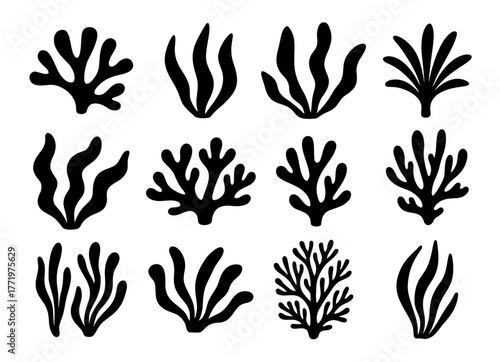 Seaweed coral silhouette black vector icon. Weed plant ocean reef fish underwater seaweed coral isolated design