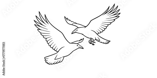 Norse Myth Odin's Ravens Line Art Vector