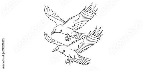 Norse Myth Odin's Ravens Line Art Vector