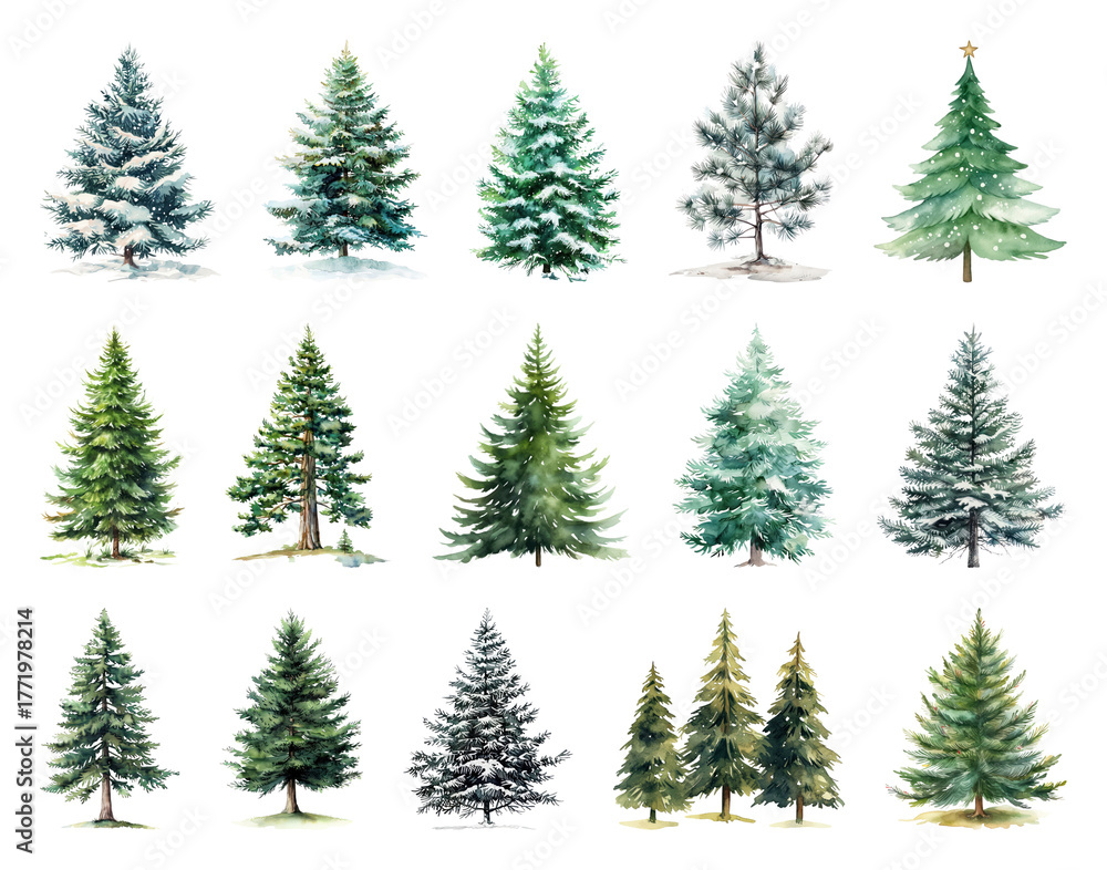 Fototapeta premium Diverse watercolor evergreen trees collection.