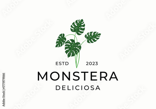 monstera deliciosa decorative plants logo design illustration template