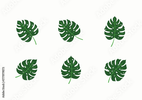 monstera deliciosa decorative leaf design collection