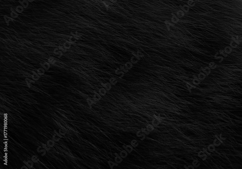 Obraz na plátně Black cat fur texture background.