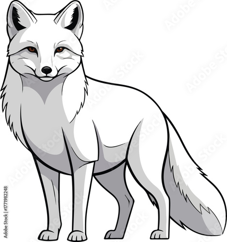 Realistic White Arctic Fox or Wolf Standing Illustration