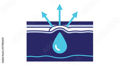 Diagram illustrating skin layers moisture and absorption detailed with a silhouette