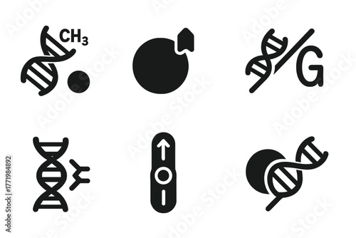 Epigenetic Icons. Solid style icons of epigenetic change mechanisms: DNA Strand with Methyl Group, Histone with Tag, Chromatin