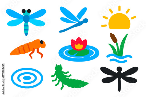 Vibrant Dragonfly Icons. Flat vector icons of Flying Dragonfly: dragonfly, wings, flight, nymph, pond, sunlight, insect, water