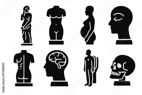 Wax Figure Icons. Solid style icons of wax figure variations: Standing Venus, Torso Only, Pregnant Form, Eyelid Cutaway,