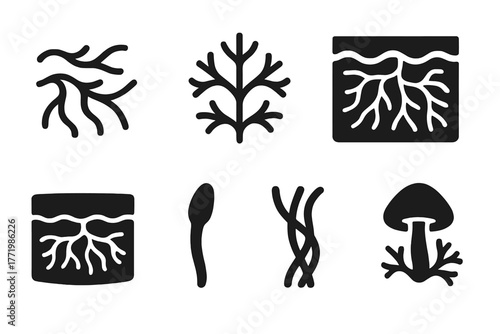 Fungal Network Icons. Solid style icons of subterranean fungus network elements: Mycelium Threads, Branching Network, Soil