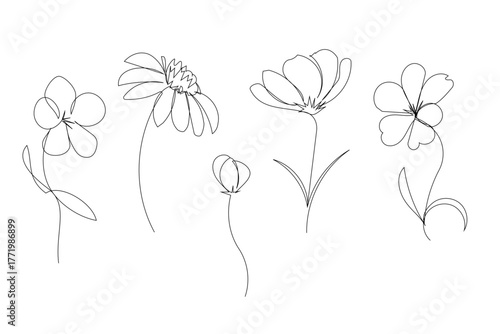 Continuous linear drawing a vector set of five elegant contoured field flowers and buds in a minimalist one-line style.