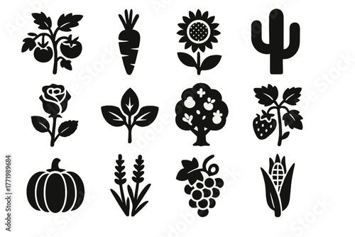 Garden Plants Icons. Solid style icons of garden plants: tomato plant, carrot, sunflower, cactus, rose, basil leaves, apple tree,