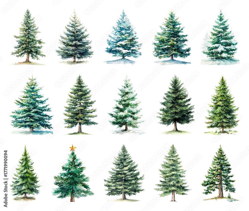 Obraz premium Watercolor evergreen trees collection.