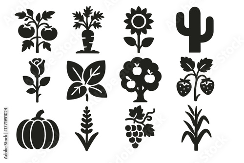 Garden Plants Icons. Solid style icons of garden plants: tomato plant, carrot, sunflower, cactus, rose, basil leaves, apple tree,