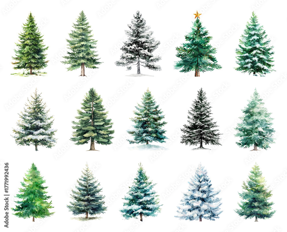 Fototapeta premium Watercolor evergreen trees winter collection.