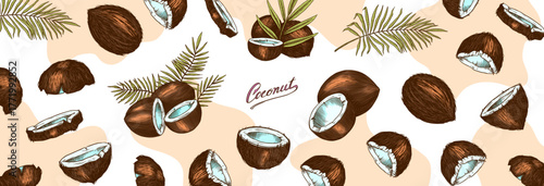 Coconut sketch. Tropical food and palm leaf. Retro ink style. Hand drawn vector illustration for market, menu, label. Organic product in ink and grunge style. 