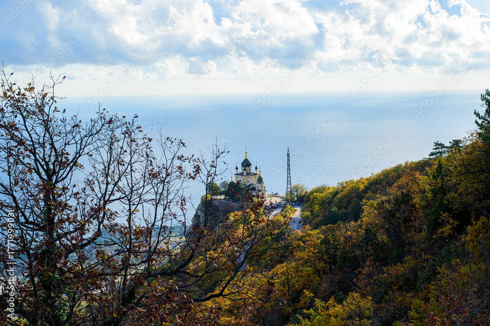 Obraz premium pine tree in the mountains