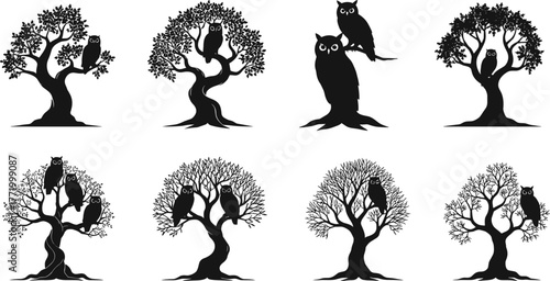 Black silhouette illustration of owls sitting on tree branches, isolated on white background, wildlife nature concept, nocturnal bird, forest design.