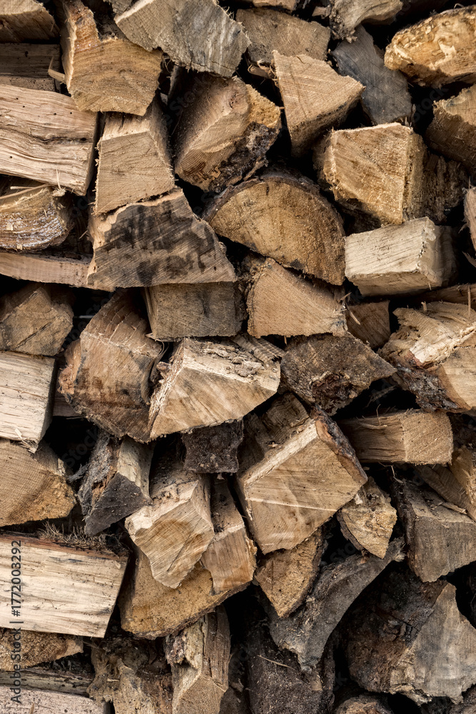 Fototapeta premium Stacked firewood