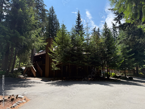 Dense forest with trees and a cabin in a lake in Mount Rainier National Park.USA, Washington july 22 2025.