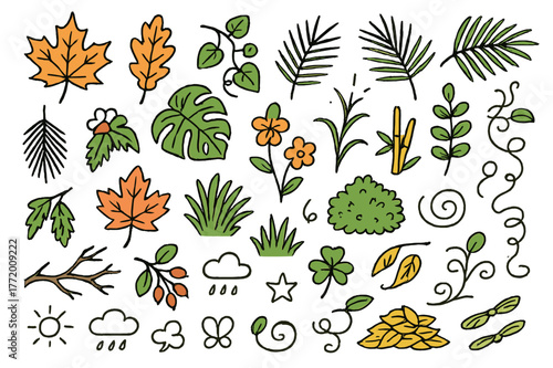 Colorful Foliage Doodle. Foliage variety. Hand-drawn doodle illustration maple leaves (colored), oak leaves (colored), fern fronds (colored), ivy (colored),