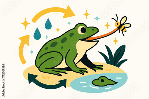 Lively Frog Life Cycle. Frog lifecycle. Adult frog catching insect with tongue near pond with abstract floating arrows, water droplets, and sparkles;