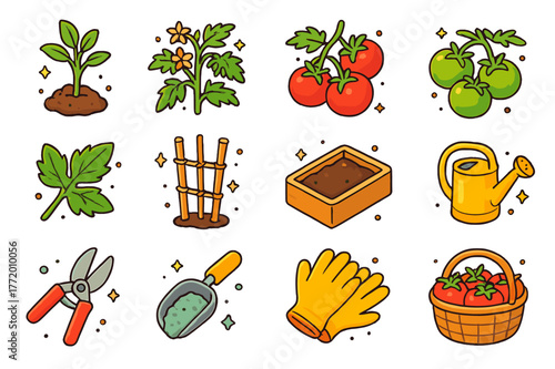 Tomato Plant Icons. Tomato plant. Colorful isometric vector icons set of Tomato plant: young tomato seedling, flowering tomato vine, ripe red tomato cluster,