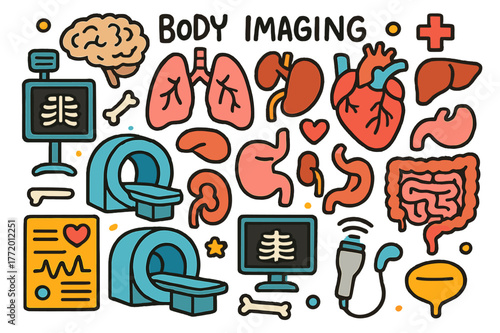 Cartoon Body Imaging Icons. body imaging. Colorful Hand-drawn doodle Children illustration body imaging heart, lungs, liver, kidneys, stomach, intestines,