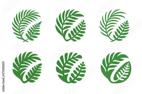 Tropical Logo Variations. Tropical rainforest. Set Logo of Tropical rainforest: palm frond and fern pair. harmonious logo variations of the same emblematic