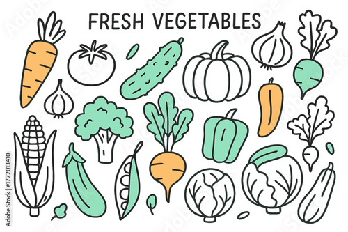 Doodle Vegetables Art. // Fresh vegetables. Hand-drawn doodle illustration fresh vegetables [carrot (accented), tomato, cucumber (accented), onion, garlic,