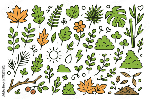 Colorful Foliage Doodle. Foliage variety. Hand-drawn doodle illustration maple leaves (colored), oak leaves (colored), fern fronds (colored), ivy (colored),