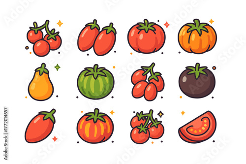 Colorful Tomato Icons. Tomato varieties. Colorful isometric vector icons set of Tomato varieties: cherry tomatoes, plum tomatoes, beefsteak tomato, heirloom