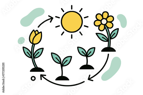 Blossoming Life Cycle. Life Cycle. Minimalist scene of blooming flowers encircling a bright sun; petals evolve into leaves and back again. A soft loop of