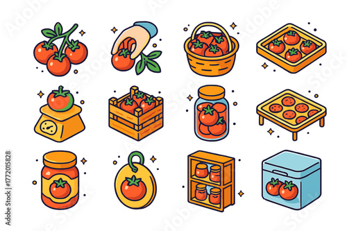 Tomato Harvest Icons. Tomato harvesting and storage. Colorful isometric vector icons set of Tomato harvesting and storage: ripe fruit cluster, hand-picking
