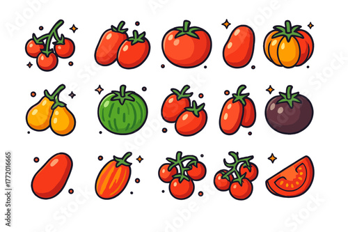 Colorful Tomato Varieties. Tomato varieties. Colorful isometric vector icons set of Tomato varieties: cherry tomatoes, plum tomatoes, beefsteak tomato,