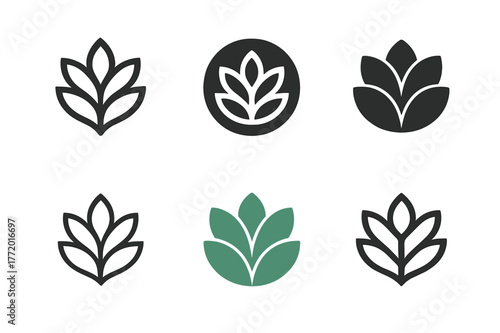 Logo Design Variations. Post mockups for client approval. Set Logo of Post mockups for client approval: Before/after split post. Icon set. harmonious logo