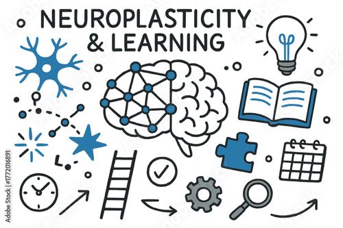 Neuroplasticity Learning Doodle. Neuroplasticity & learning. Hand-drawn doodle illustration neuroplasticity & learning [brain network (accented), neuron