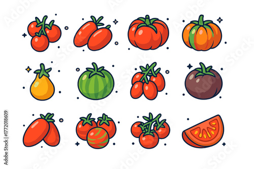 Colorful Tomato Varieties. Tomato varieties. Colorful isometric vector icons set of Tomato varieties: cherry tomatoes, plum tomatoes, beefsteak tomato,