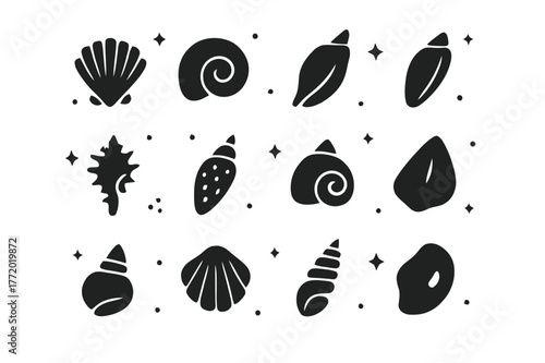 Seashell Icon Grid. Beachcombing Seashells. Solid icons set of Beachcombing Seashells: cockle shell, moon snail shell, tulip shell, olive shell, murex shell,