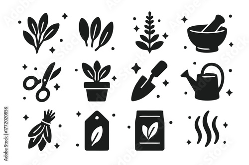 Sage Icon Collection. Sage. Solid icons set of Sage: sage sprig, sage leaves, flowering spike, mortar and pestle, herb scissors, plant pot, garden trowel,