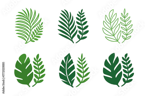 Tropical Logo Variations. Tropical rainforest. Set Logo of Tropical rainforest: palm frond and fern pair. harmonious logo variations of the same emblematic