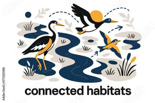 River Ecosystem Overview. River Ecosystem ? Bird?s Eye View. Aerial composition of meandering river, islands, and marsh; dotted migration lines cross above.